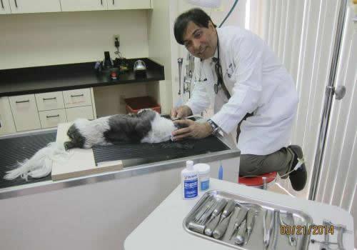 Images Hesperia Animal Hospital