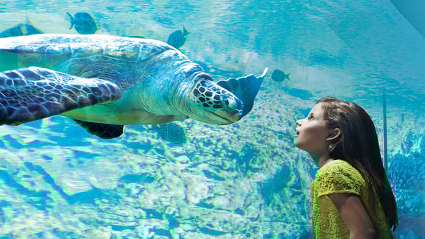 Images Holiday Inn Express & Suites San Antonio Rivercenter Area by IHG