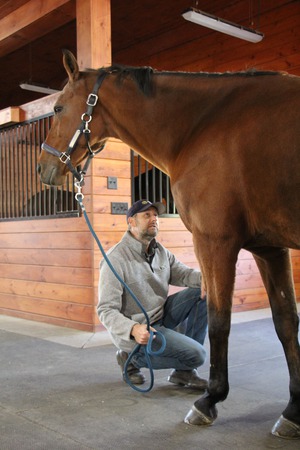 Images Advanced Equine of the Hudson Valley