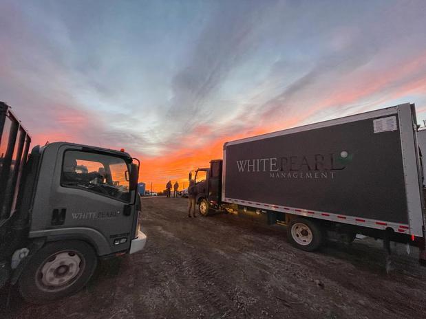 Images White Pearl Management