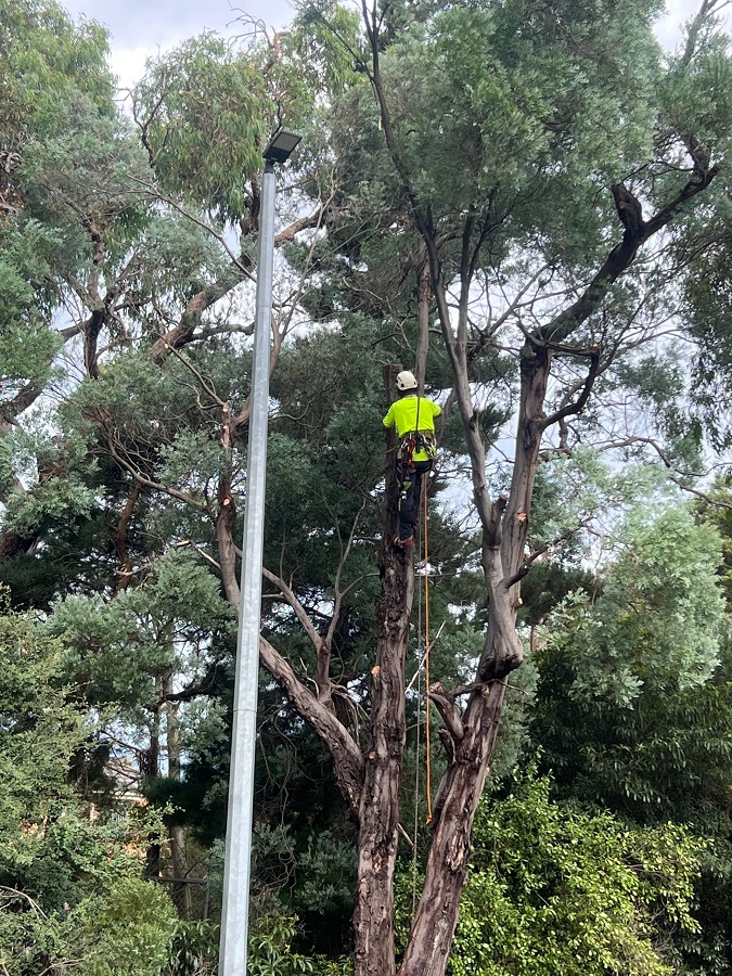 Images Regans Property Maintenance