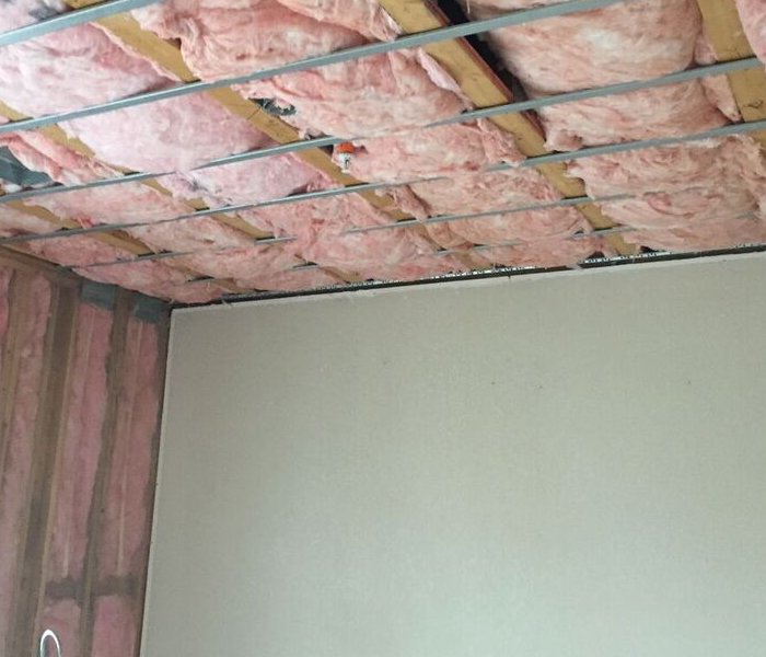 Insulation and Drywall Damage