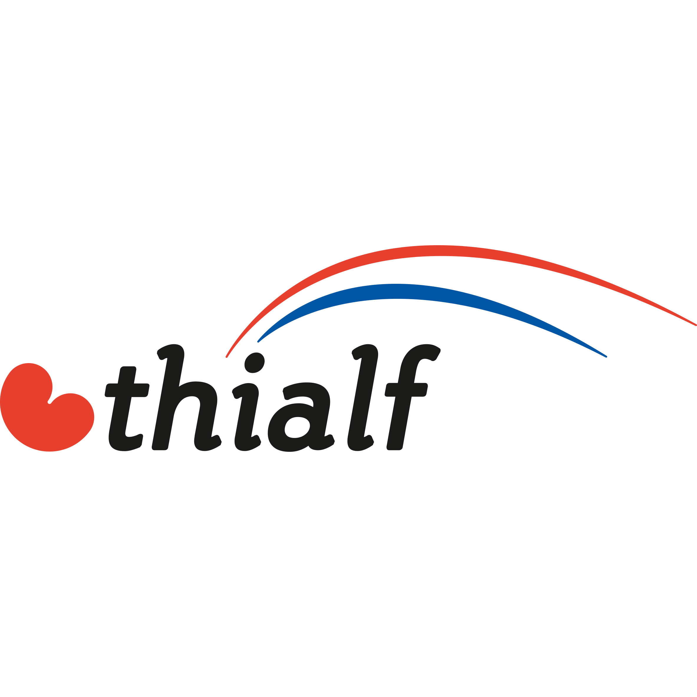 Thialf BV Logo
