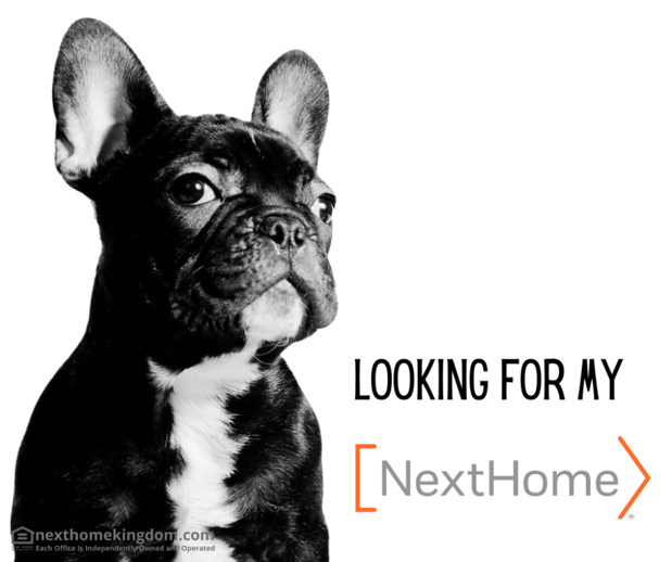 Images NextHome Kingdom