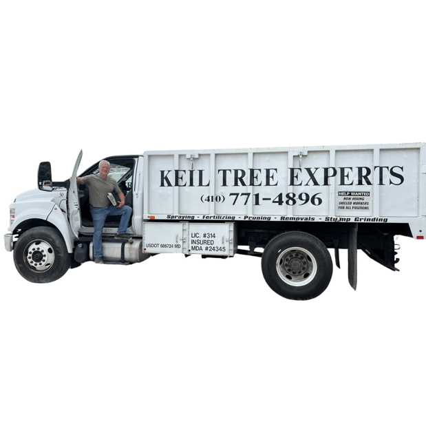 Images Keil Tree Experts Inc