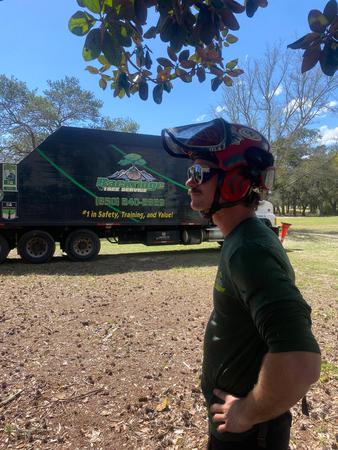Images Backridge Tree Service