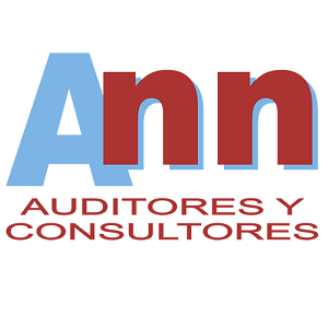 Ann Auditores y Consultores Valladolid