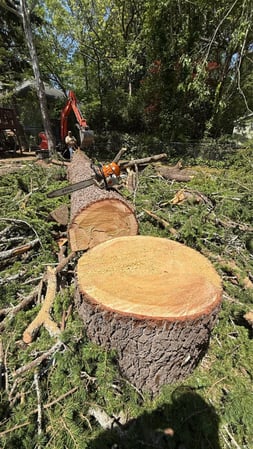 Images Southern Grading & Associates LLC