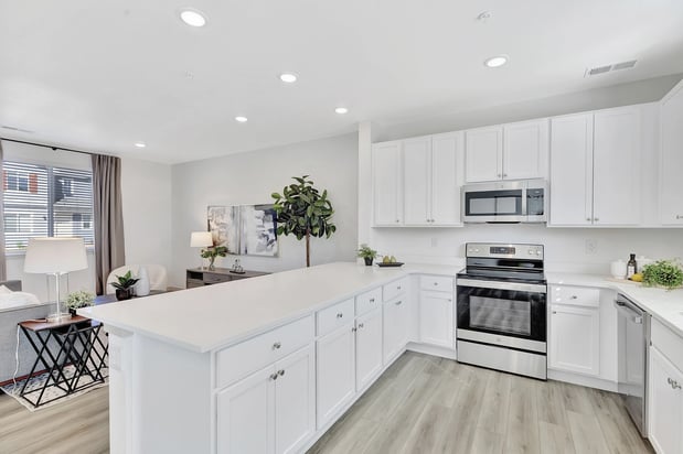 Images Arrive Longmont