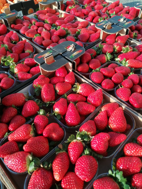 Images Il Meglio Del Meglio