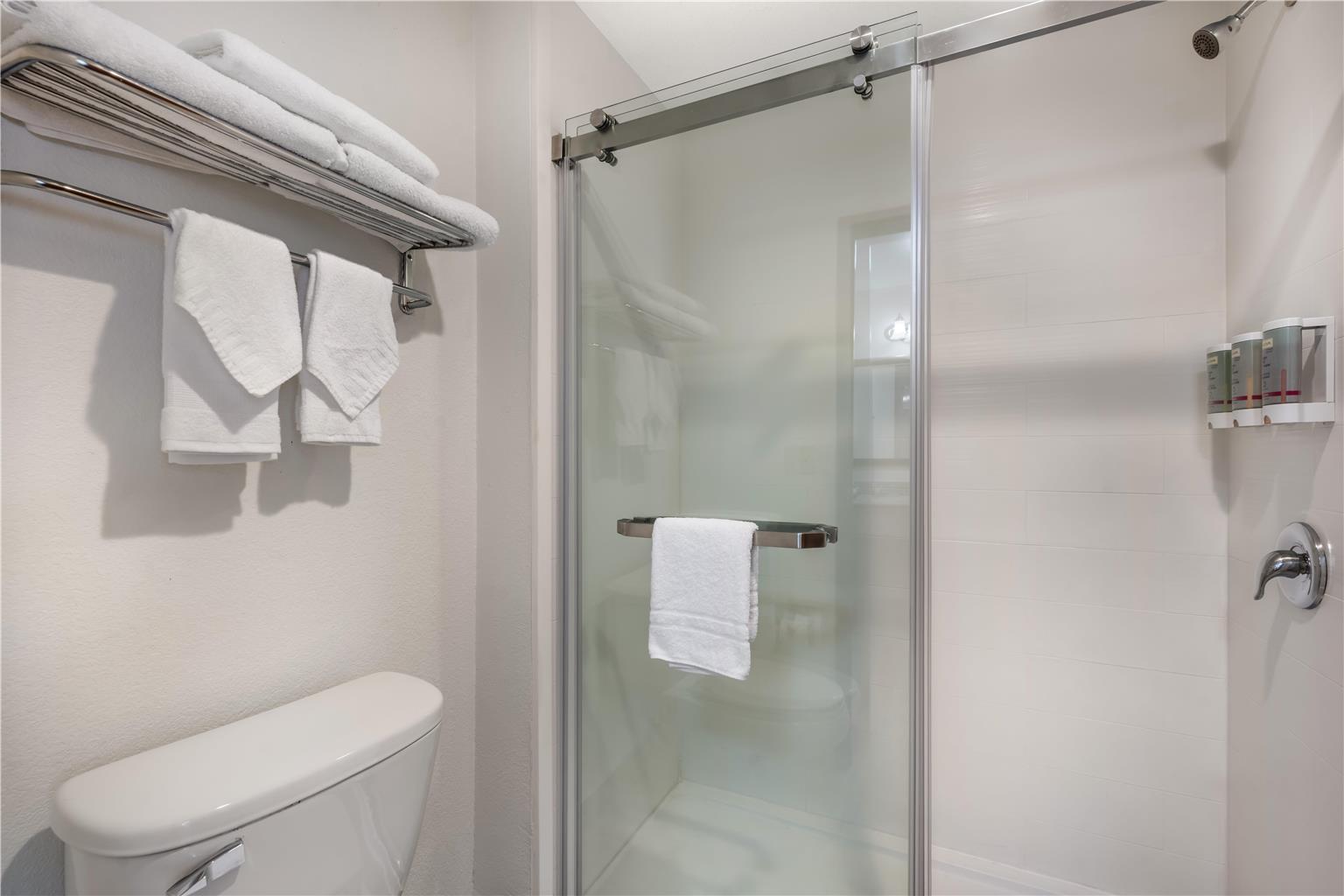 King with Sofabed Bathroom 