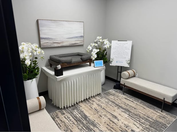 Images Resting Rainbow Pet Cremation of Orlando