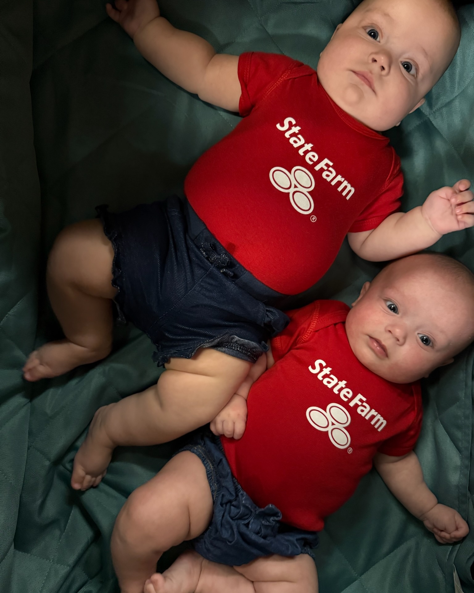 Anne Lintz - State Farm Insurance Agent Image