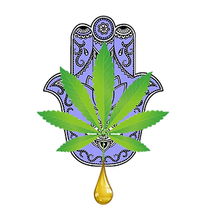 Got Hempsa CBD Logo