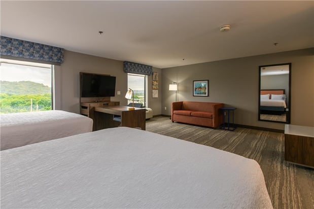 Images Hampton Inn & Suites Wilder