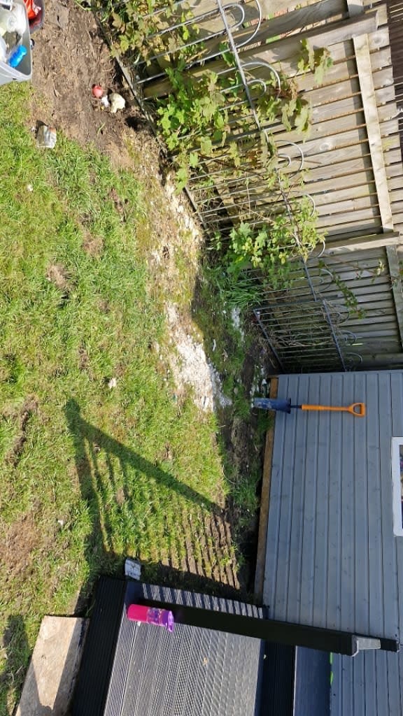 Images Green Acres