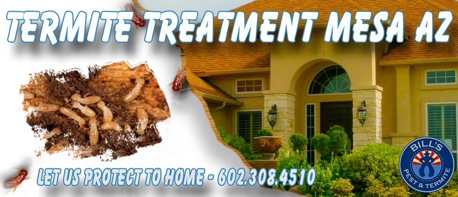 Bills Pest Termite Control Mesa Az Image