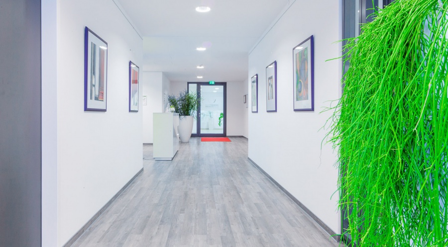 Dr. med. dent. M.Sc. Gregor Mowius, Königsallee 60 d in Düsseldorf