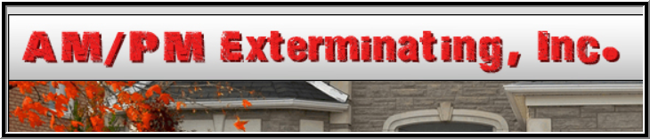 Am Pm Exterminating