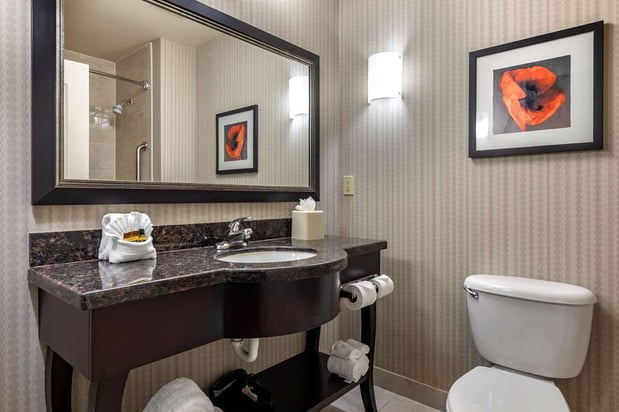 Images Best Western Plus DFW Airport West Euless