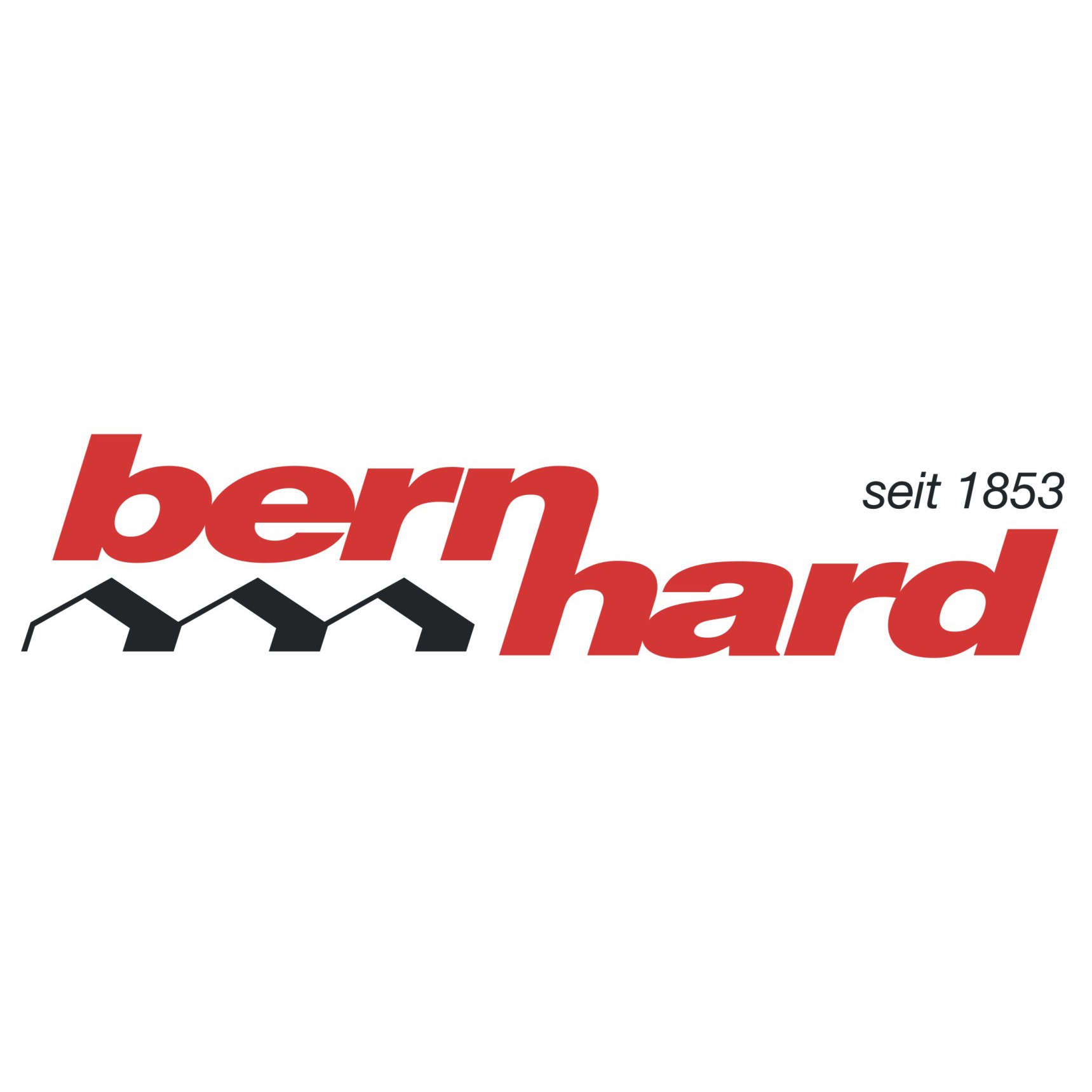 Bernhard AG Logo