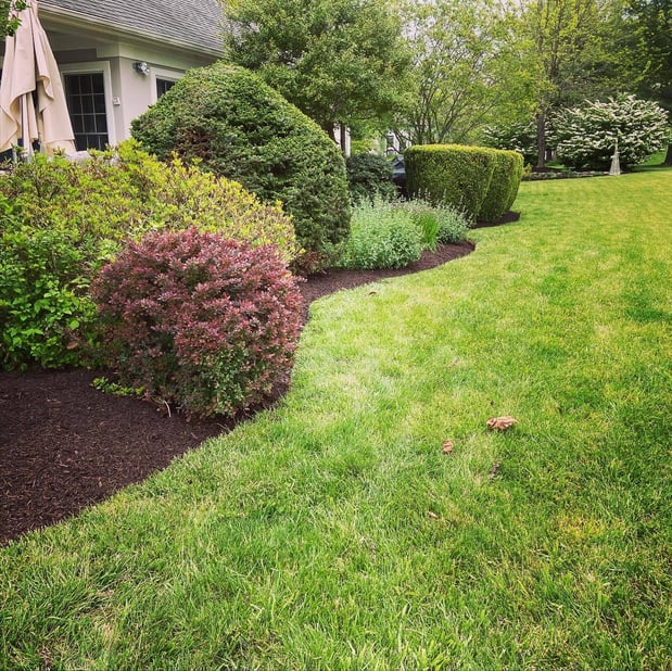Images Barr Landscaping