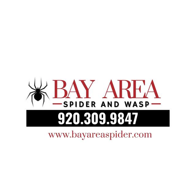 Images Bay Area Spider and Wasp