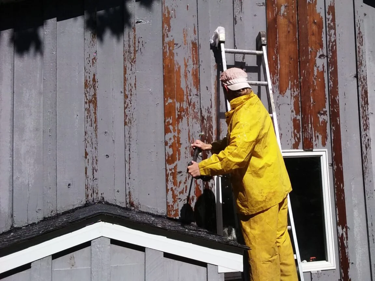 Premier Painting Specialists & Pressure Washing Image
