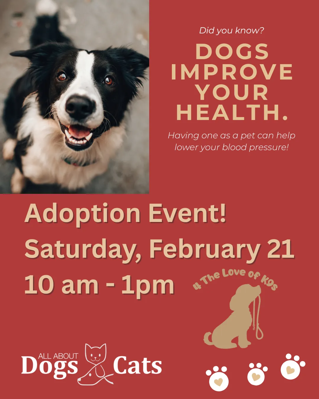 Image of Local Pet Event Adoption Event Nearby