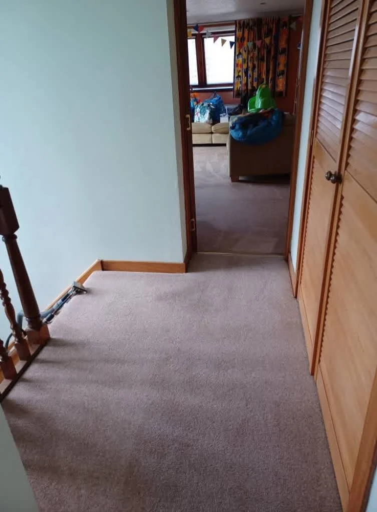 Images Johnshaven Carpet Cleaning Services