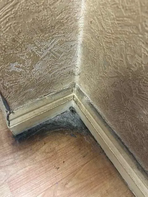 Images Ambiente FM Ltd