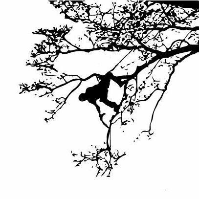Norman's Expert Tree Care