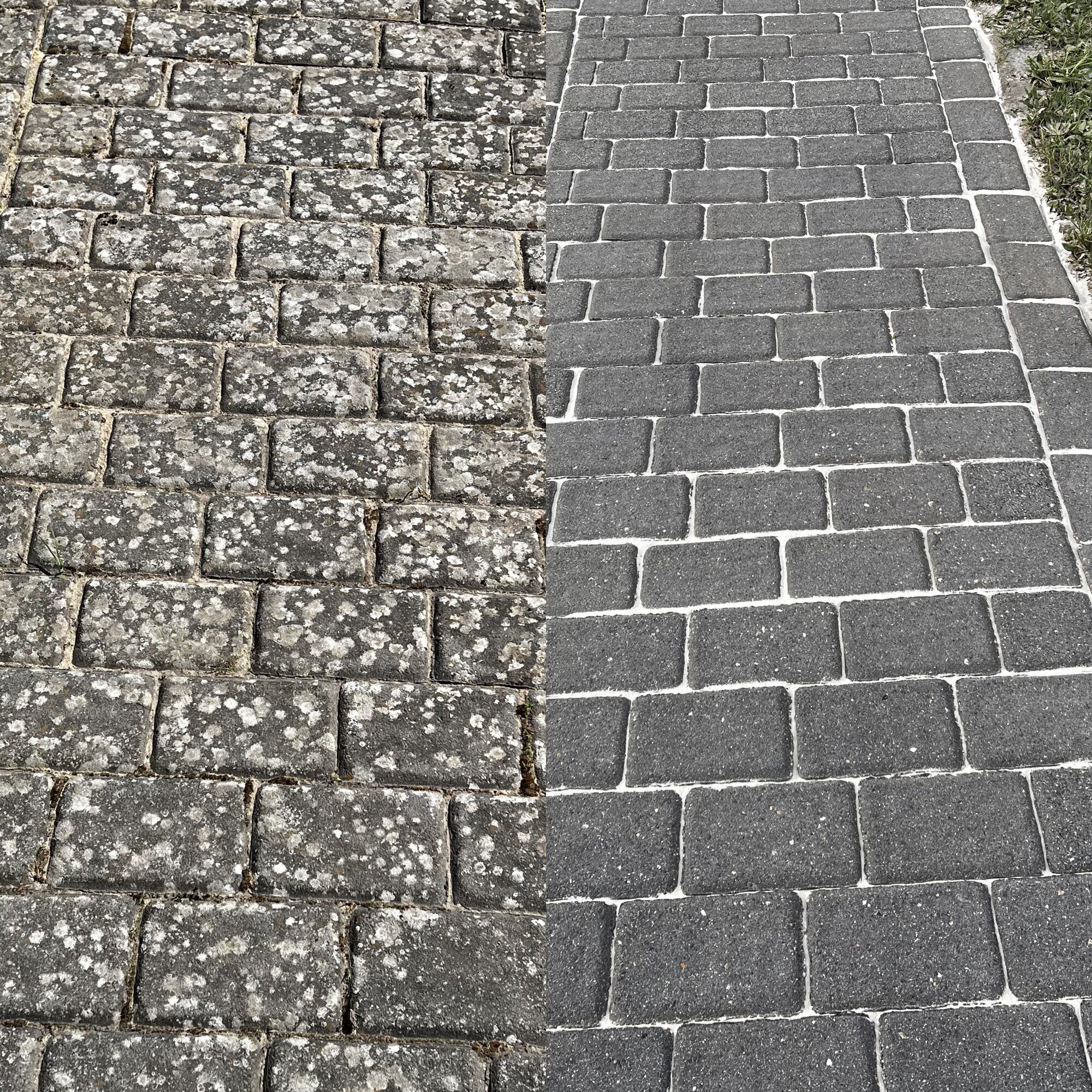 Bilder MF Flächenreinigung