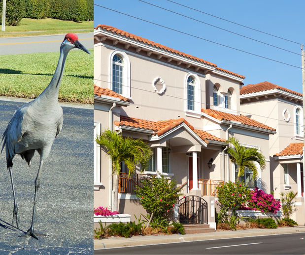 Images Tetyana Hanna, Sarasota Real Estate Agent 〡 KW Coastal Living III