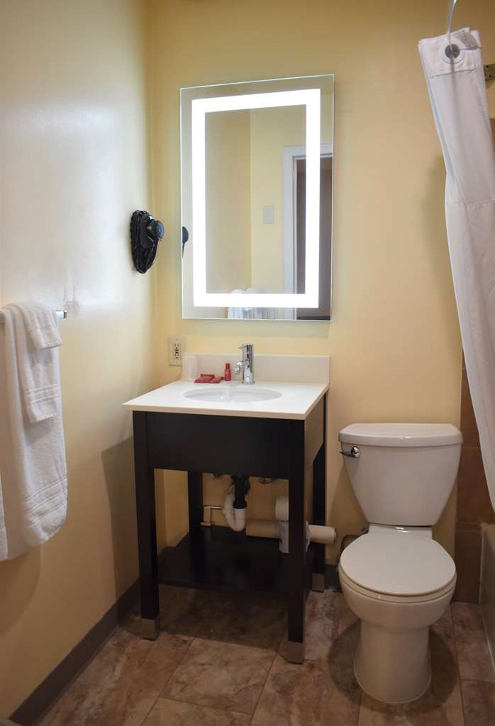 Mobility Accessible Guest Bathroom