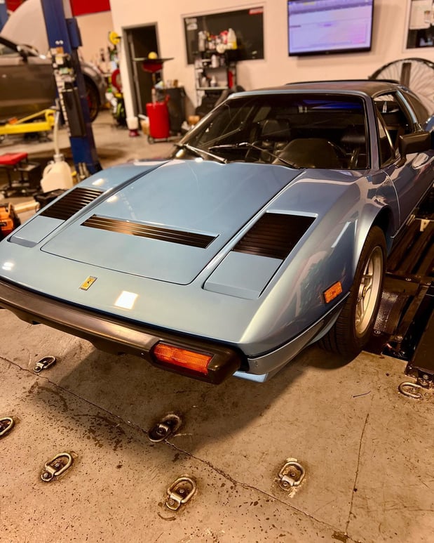 Images Loudoun County Exotics