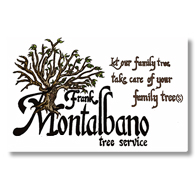 Frank Montalbano Tree Service Inc.