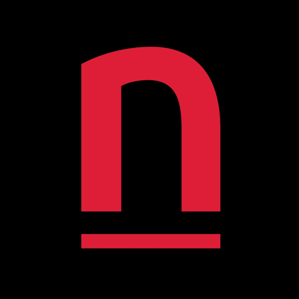 Netcorp Logo