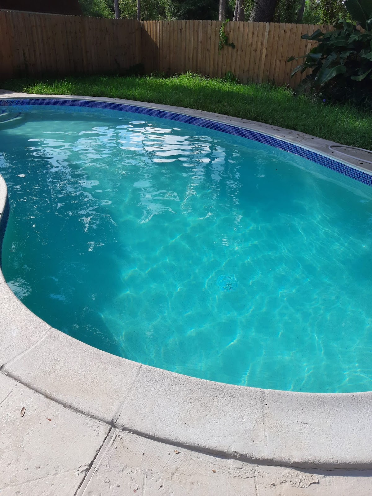 Freeform residential swimming pool with clear turquoise water, curved edges, light stone coping, and a landscaped backyard.