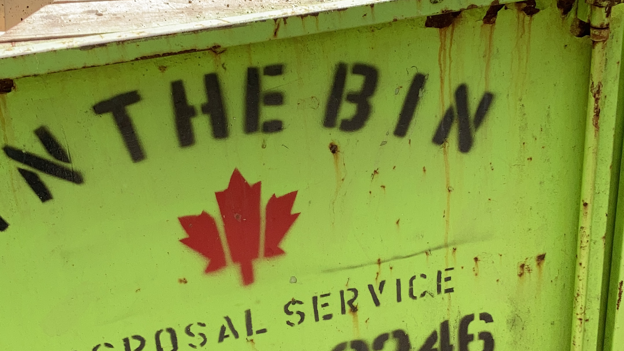 Images In the Bin