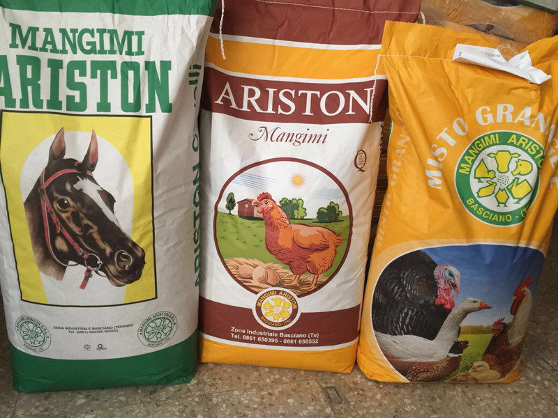 Images Il Mondo degli Animali