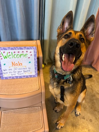 Images Yoder's Applied Practice