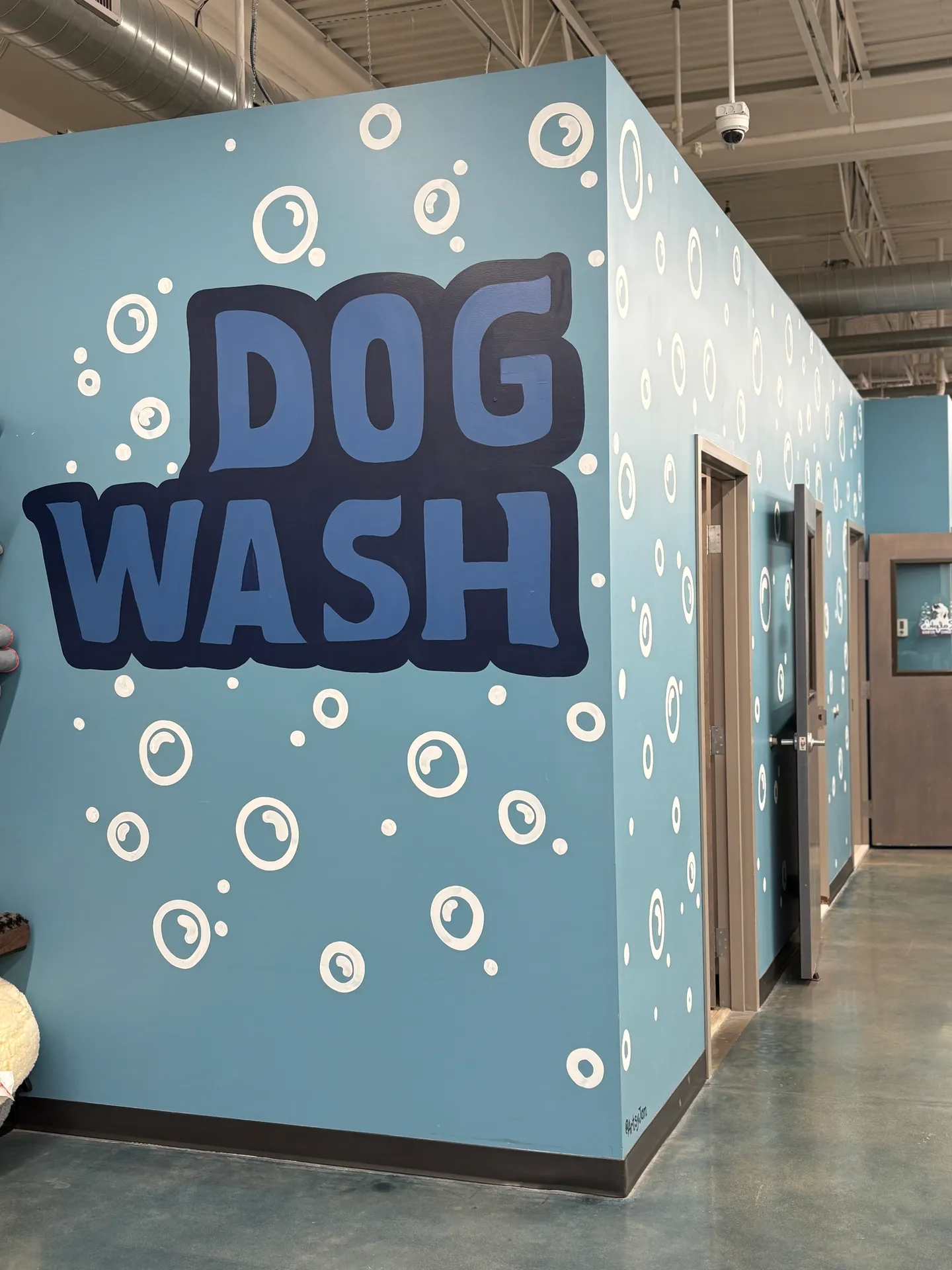 Image of Local Pet Event Dog Wash Grand Re-Opening! Nearby
