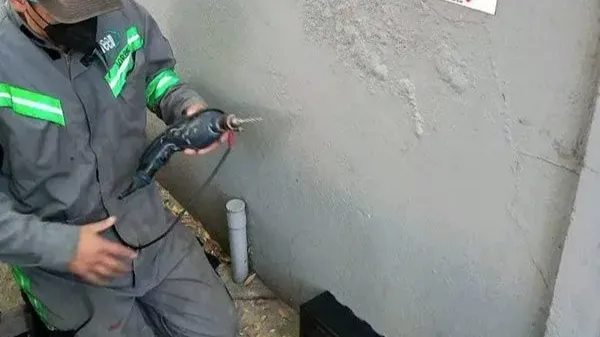 Images Bio-Green Control Ecológico De Plagas