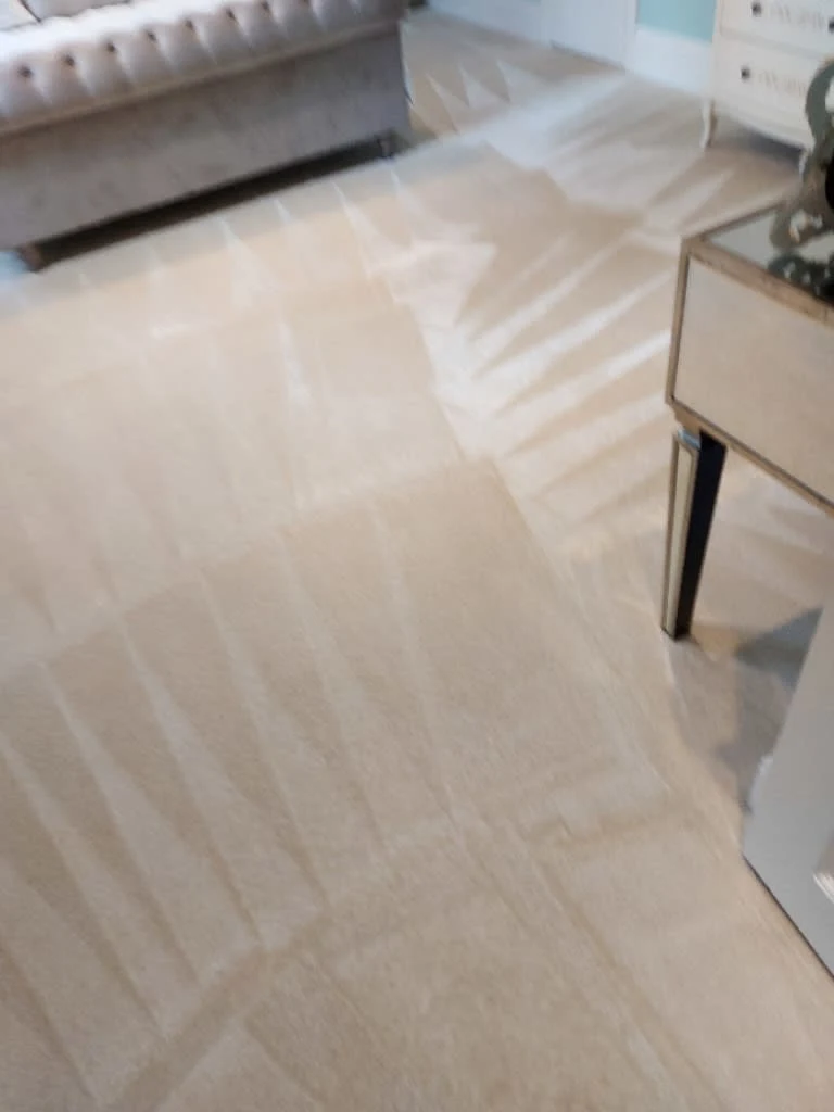 Images Titanium Cleaning