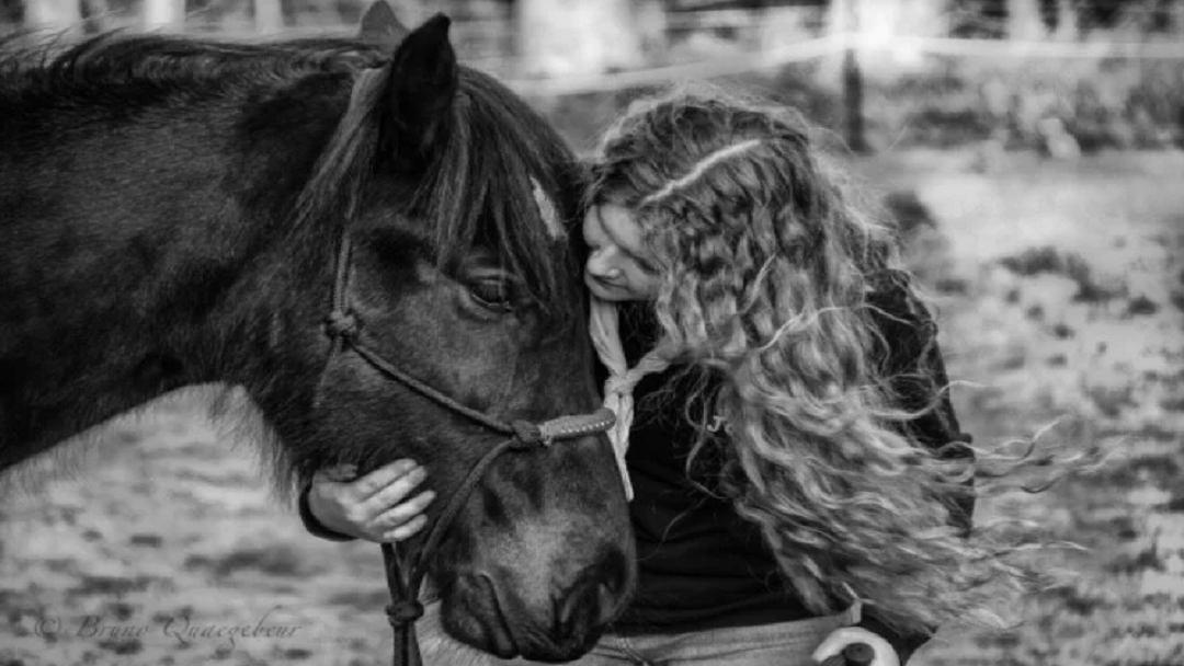 Fotos - Horse and Force Hippotherapie - 2