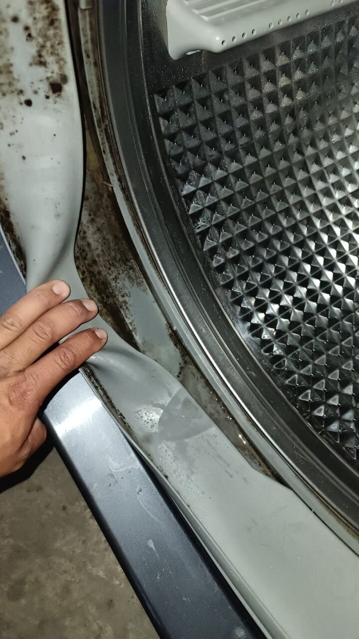 Images Serviexpress línea blanca