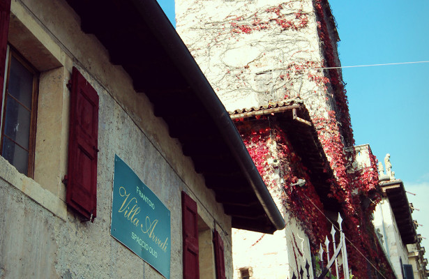 Villa Arvedi