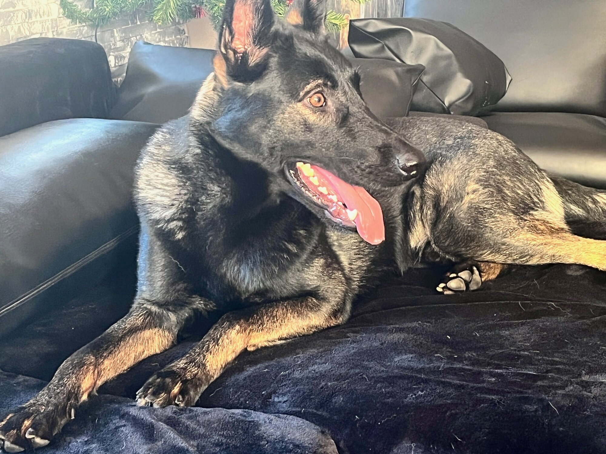 Instinkt Management, Eichener Straße 38 in Kreuztal