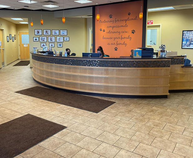Images VCA Fairmount Animal Hospital